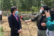 广东:深圳推出4亿元汽车置换补贴 市民可在指定微信小程序上申领